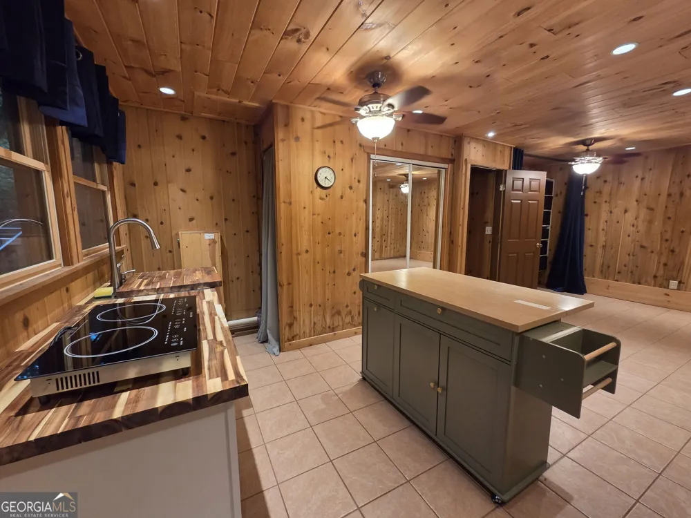 113 Biddy Mtn LN Tiger, GA 30576