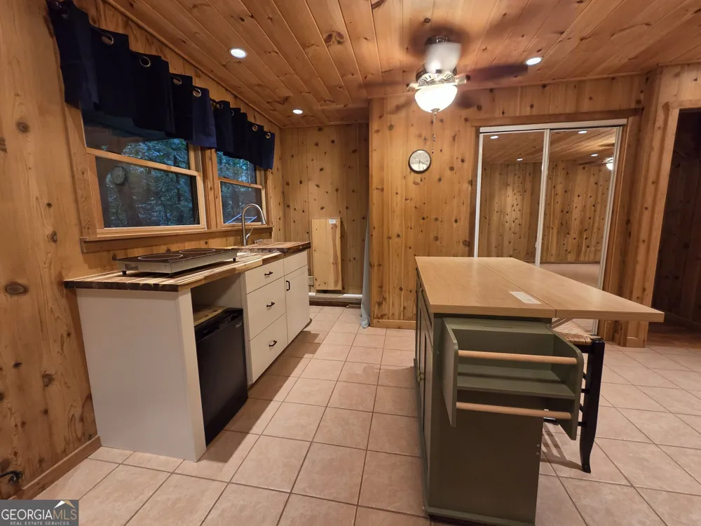113 Biddy Mtn LN Tiger, GA 30576