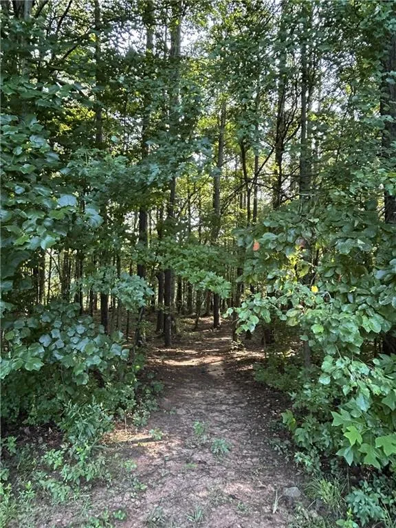 914 Whooping Creek Road Carrollton, GA 30116