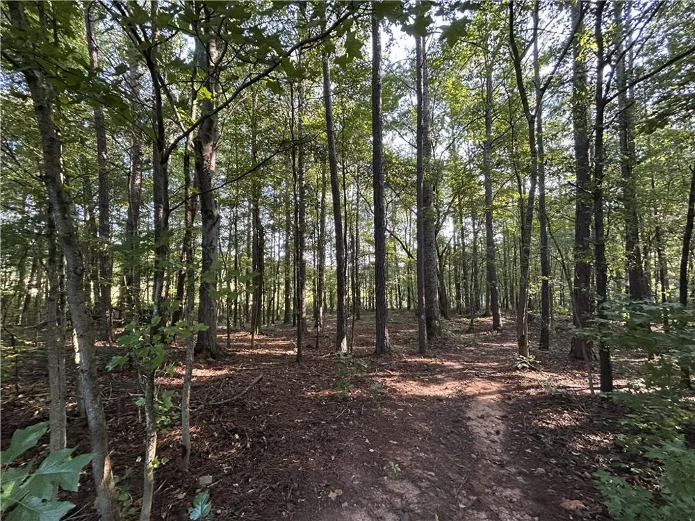 914 Whooping Creek Road Carrollton, GA 30116