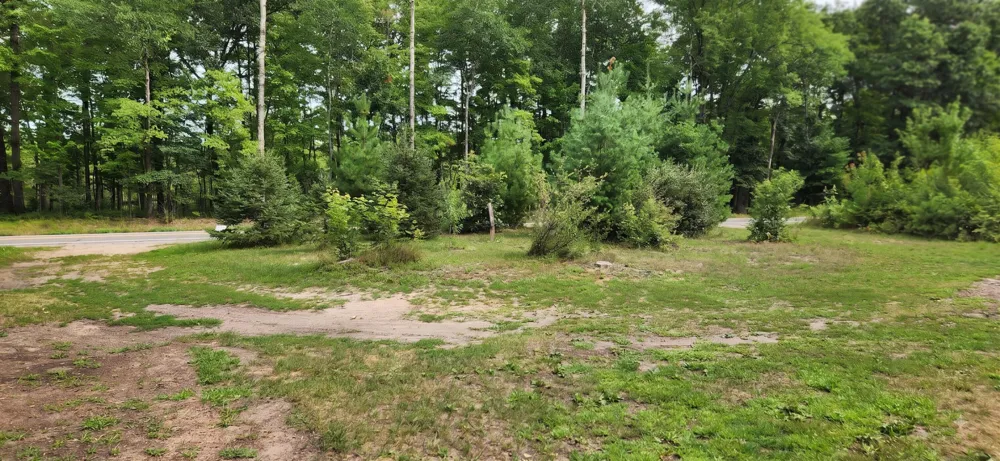 2984 W Pierce Drive Merrill Township, MI 49312