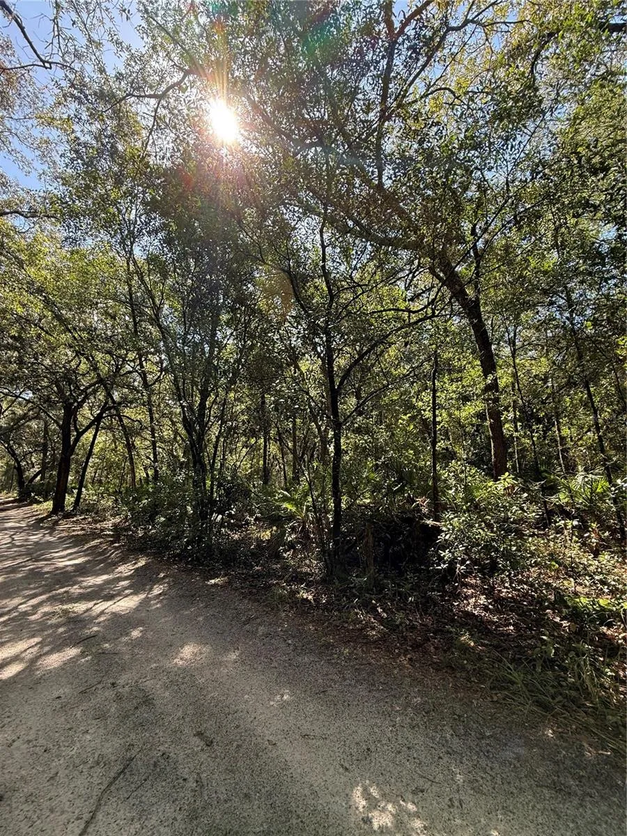TBD SW 152ND PLACE Dunnellon, FL 34432