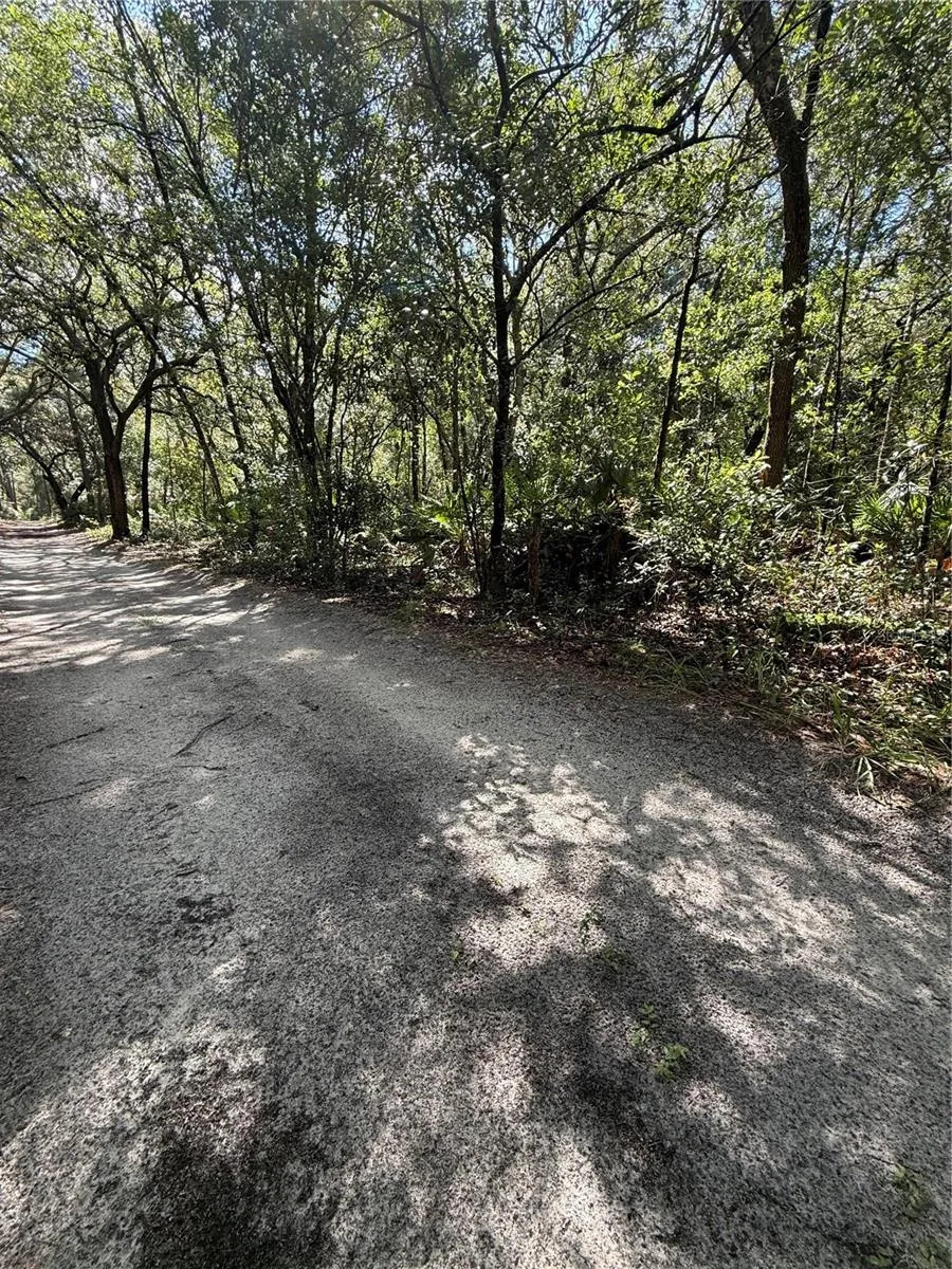 TBD SW 152ND PLACE Dunnellon, FL 34432