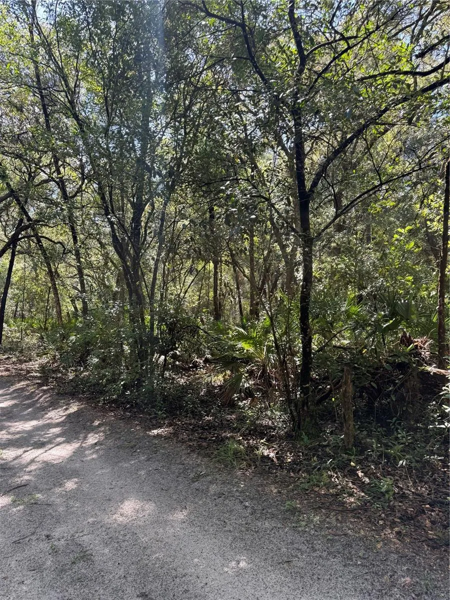 TBD SW 152ND PLACE Dunnellon, FL 34432