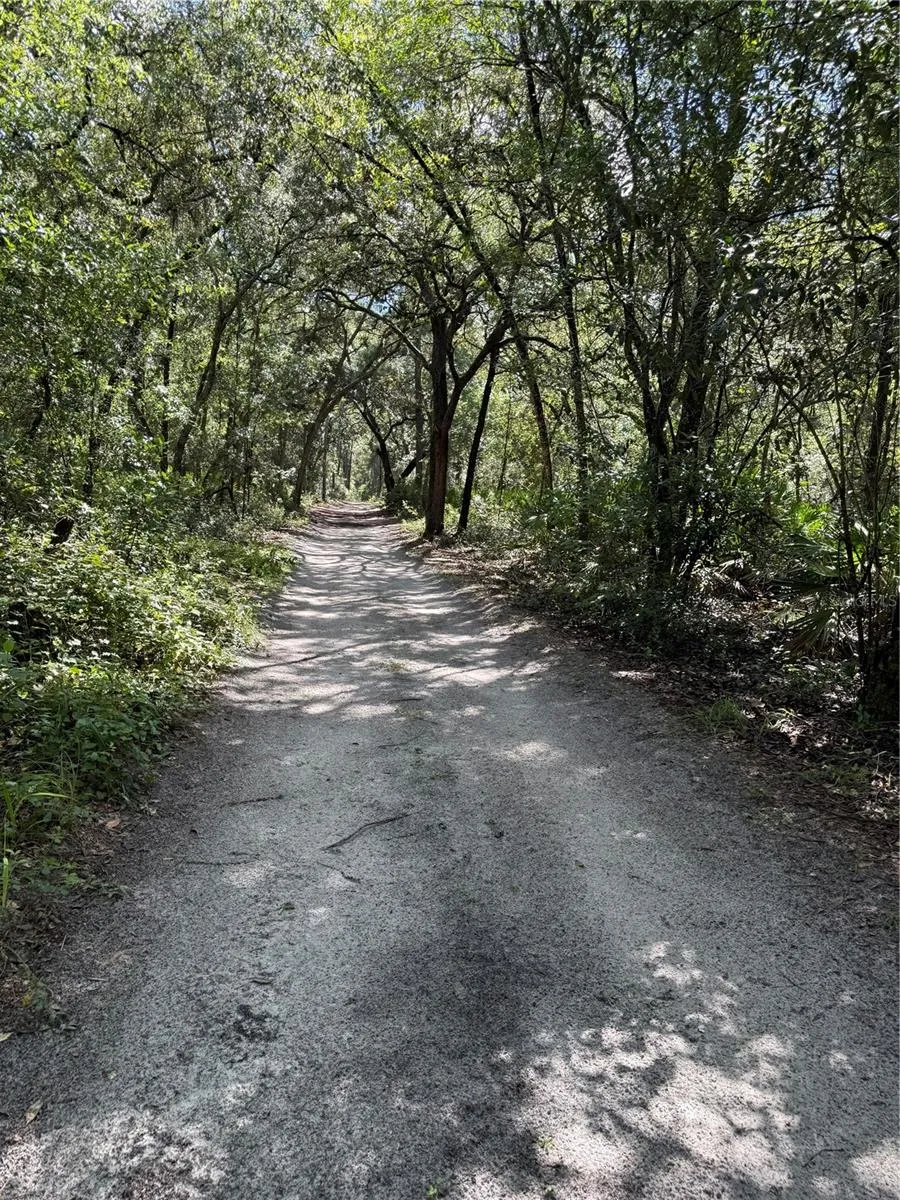 TBD SW 152ND PLACE Dunnellon, FL 34432