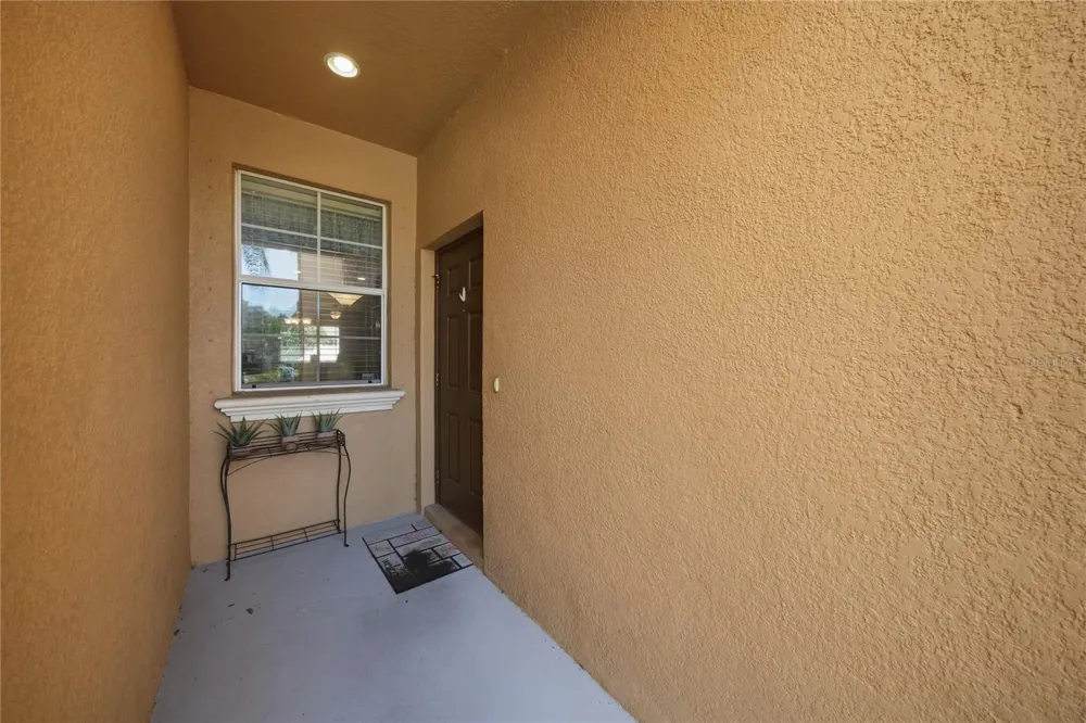 9477 TRUMPET VINE LOOP Trinity, FL 34655