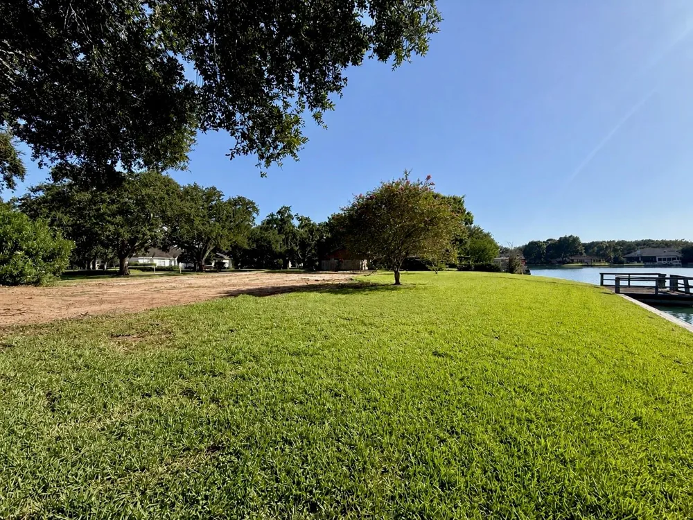 711 Salerno Street Sugar Land, TX 77478