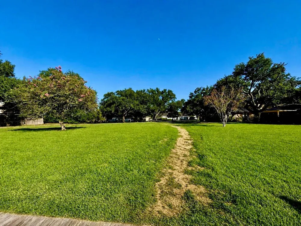 711 Salerno Street Sugar Land, TX 77478