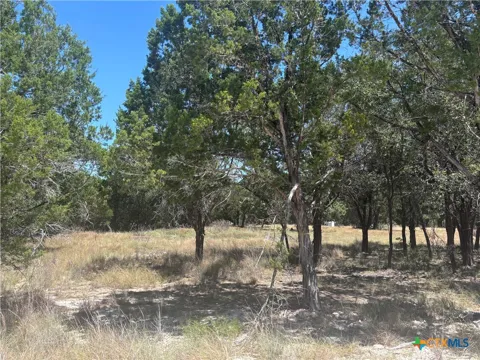 219 County Road 4360