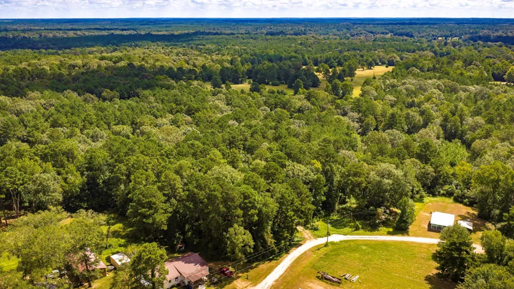 275 Fairview E Livingston, TX 77351