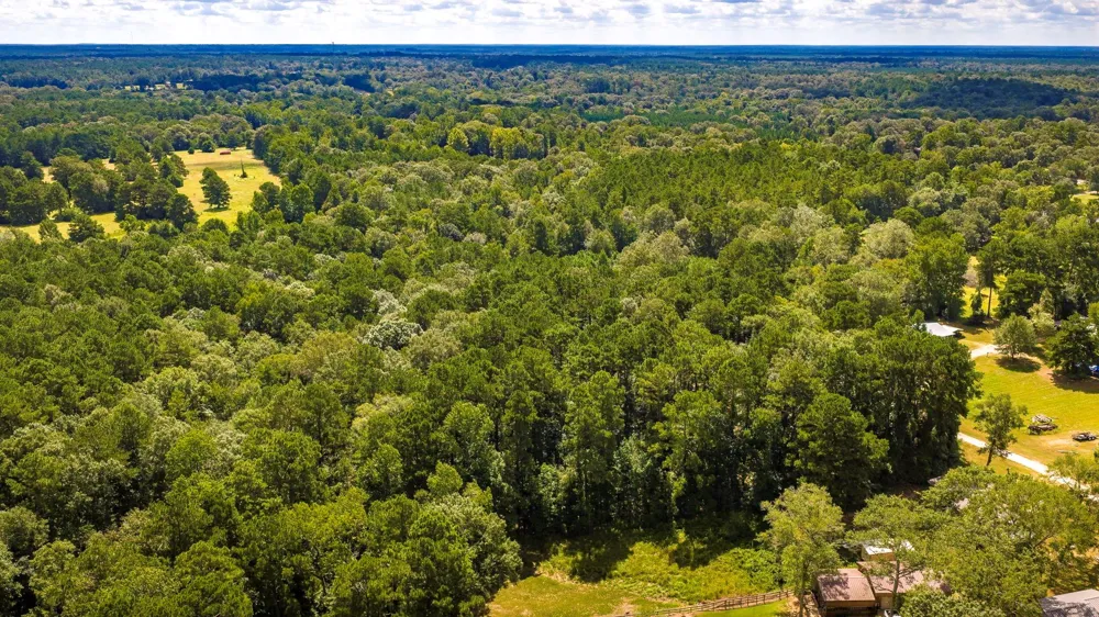 275 Fairview E Livingston, TX 77351