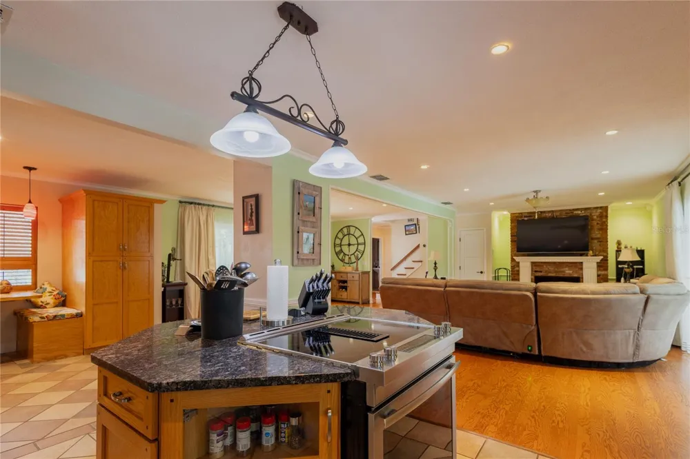 615 VALLE VISTA DRIVE Brandon, FL 33511