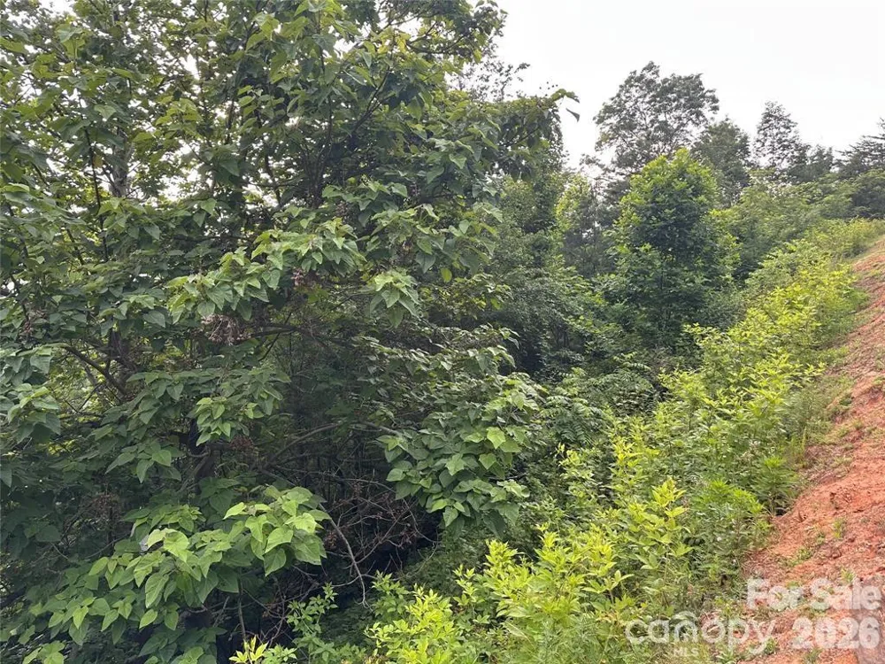 0 Golden Ridge Drive Lake Lure, NC 28746