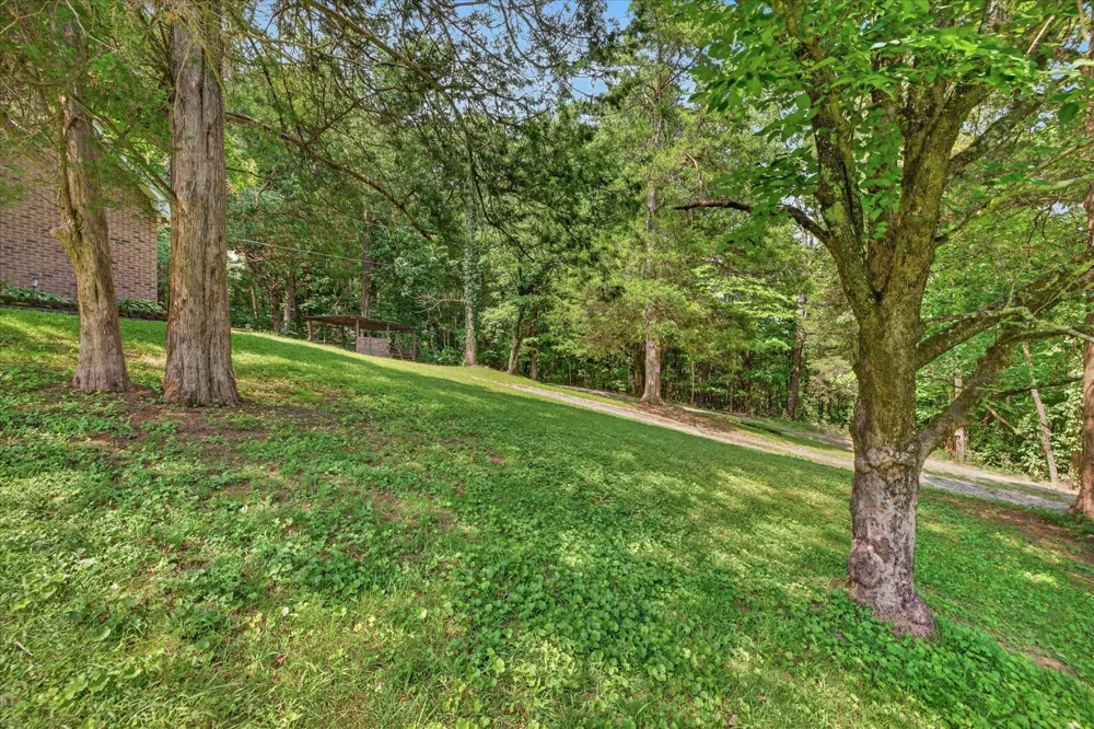 4036 Vernon Creek Rd Cunningham, TN 37052