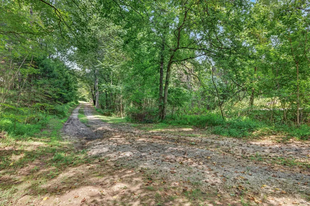 4036 Vernon Creek Rd Cunningham, TN 37052