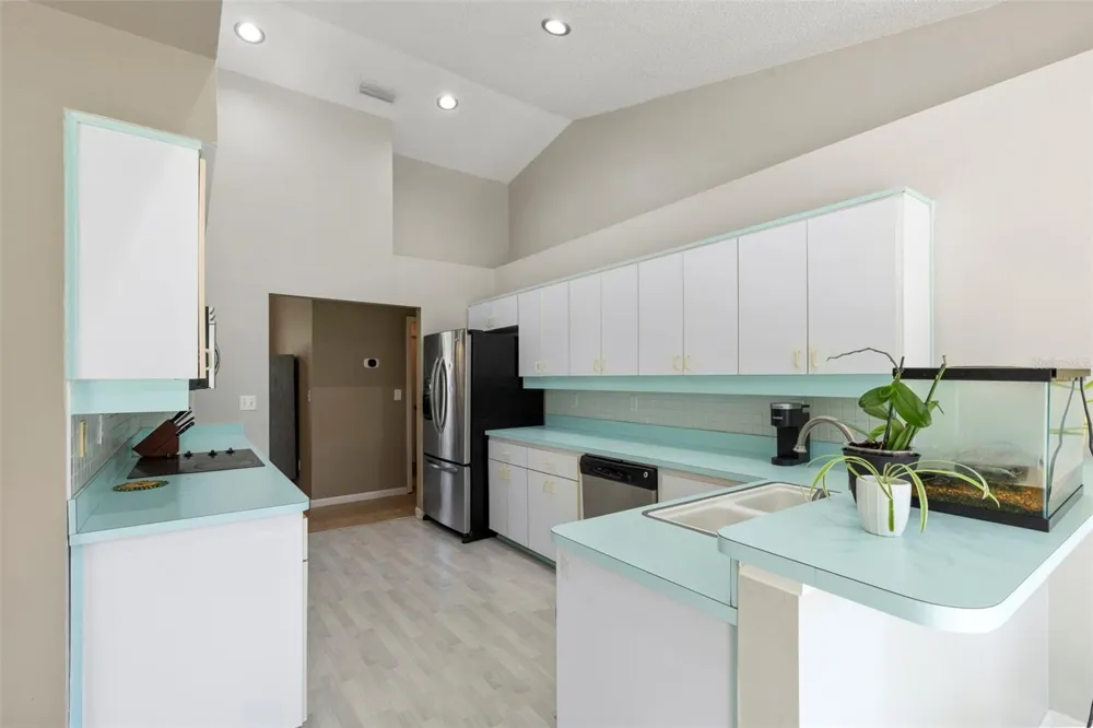 17269 RAINTREE ROAD Lutz, FL 33558