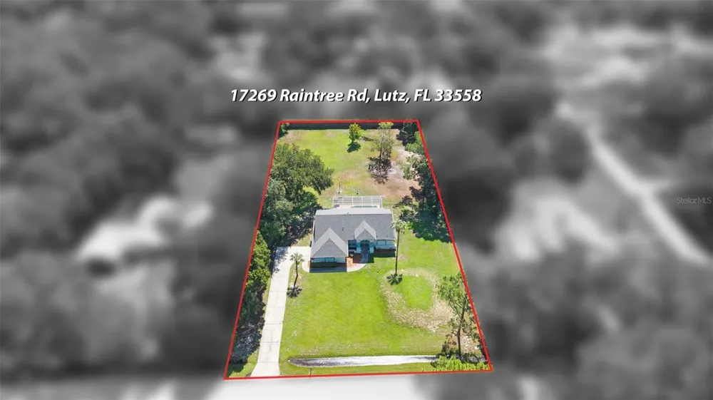 17269 RAINTREE ROAD Lutz, FL 33558
