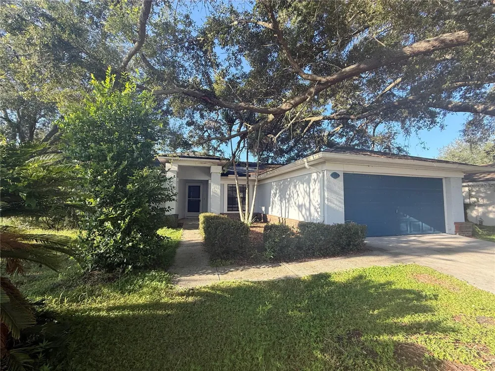 13311 HOLLOWBEND LANE Riverview, FL 33569