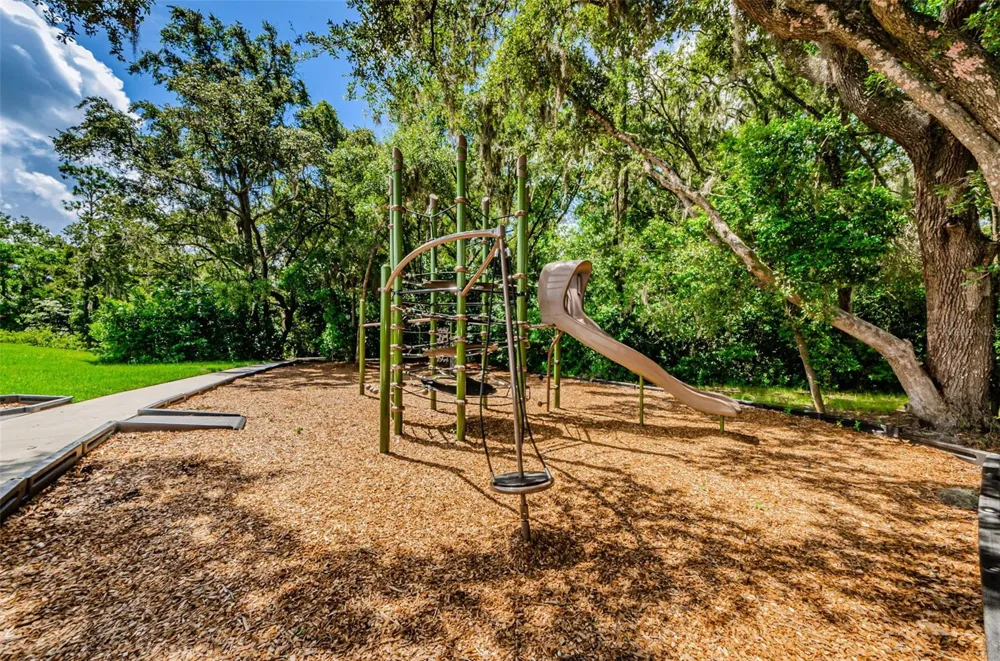 6780 EMERALD SPRING LOOP New Port Richey, FL 34653