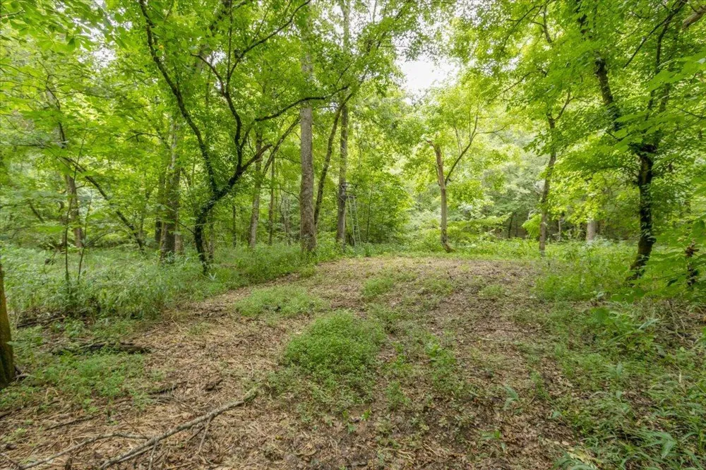 706 William Avenue Appling, GA 30802