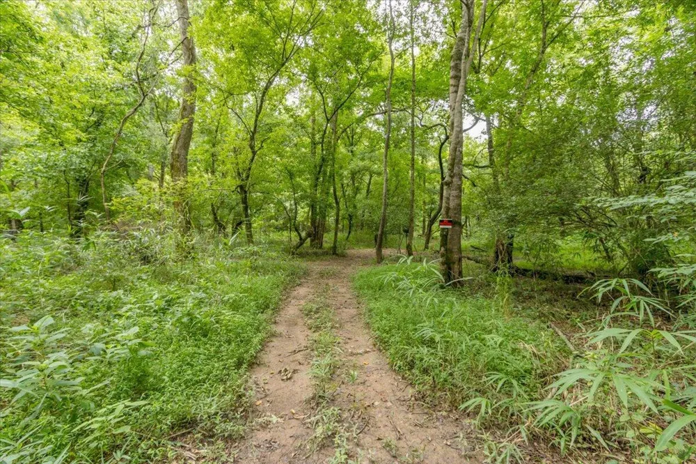 706 William Avenue Appling, GA 30802