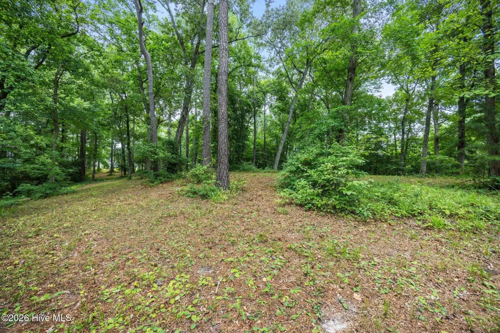 3695 River Park Way NE Leland, NC 28451