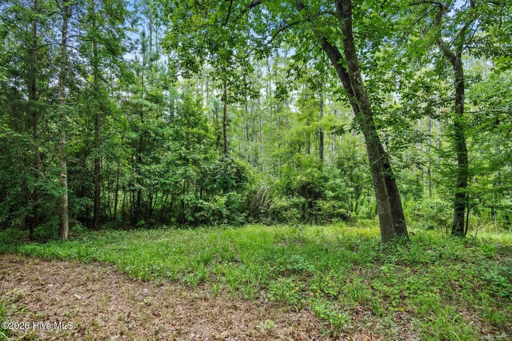 3695 River Park Way NE Leland, NC 28451