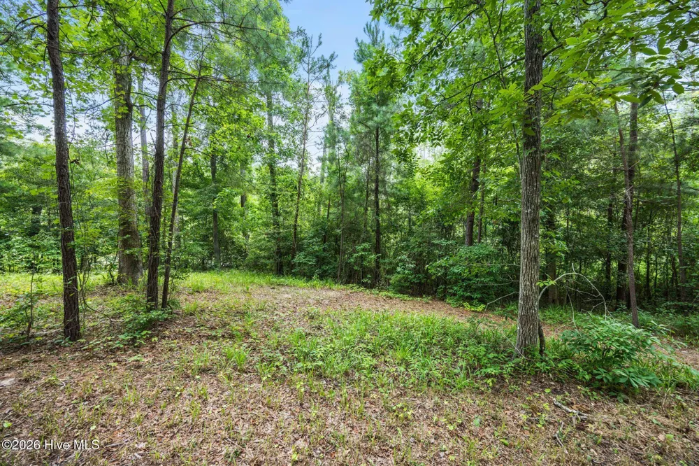 3695 River Park Way NE Leland, NC 28451