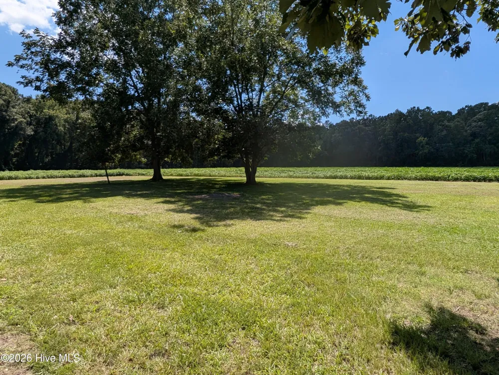 1626 Nathan Roberson Road Jamesville, NC 27846