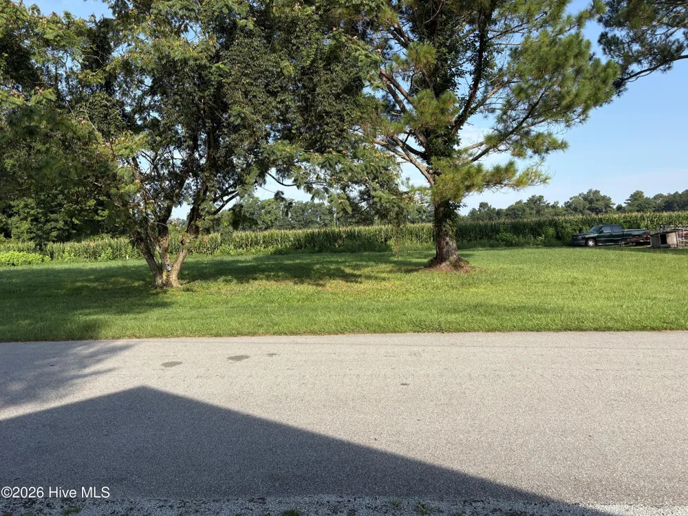 167 Larry Avenue Pollocksville, NC 28573