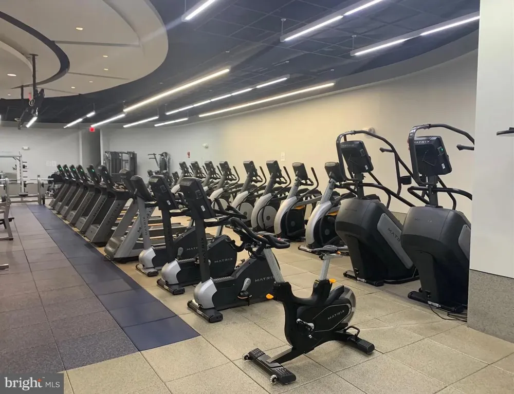 1021 ARLINGTON BOULEVARD #1138 Arlington, VA 22209