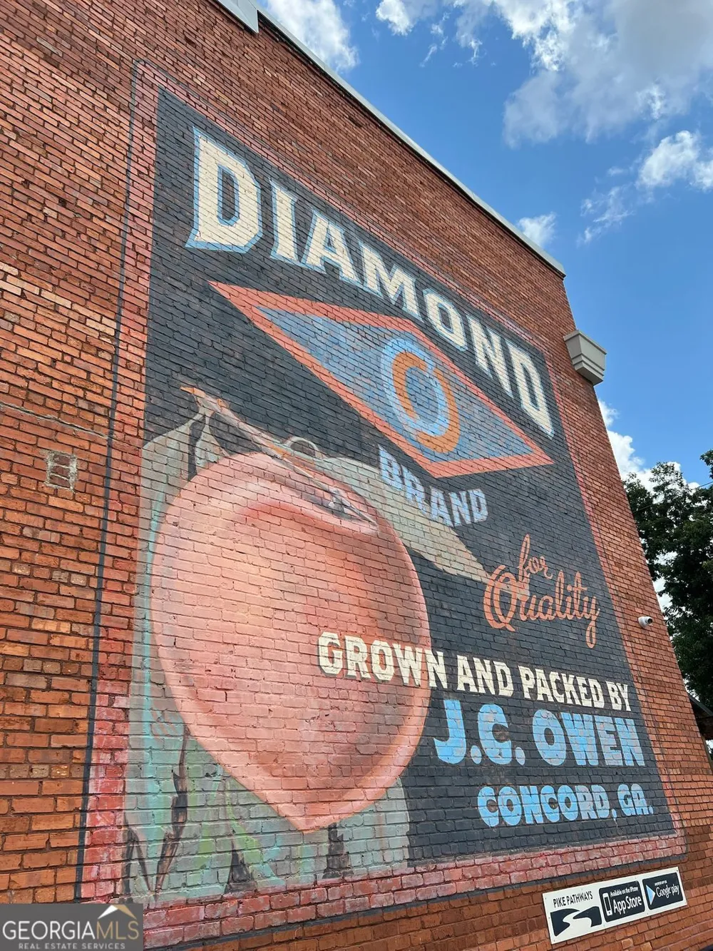 1060 Hill ST Concord, GA 30206