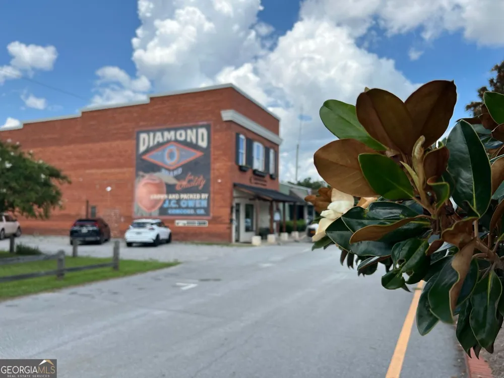 1060 Hill ST Concord, GA 30206