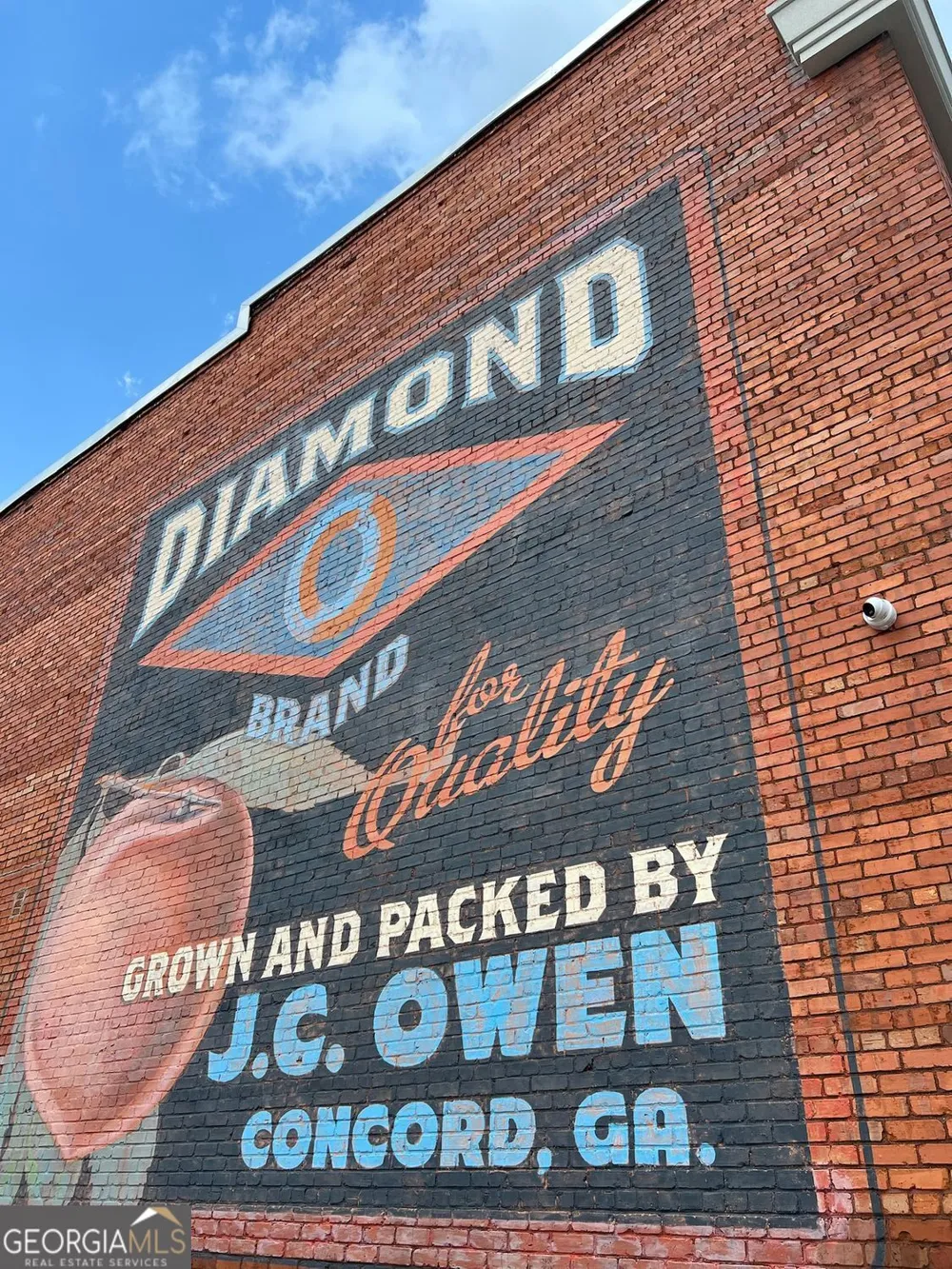 1060 Hill ST Concord, GA 30206