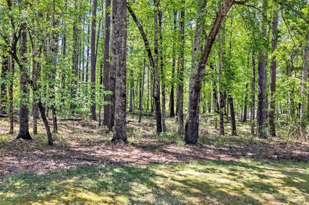 1010 Troon Court Greensboro, GA 30642