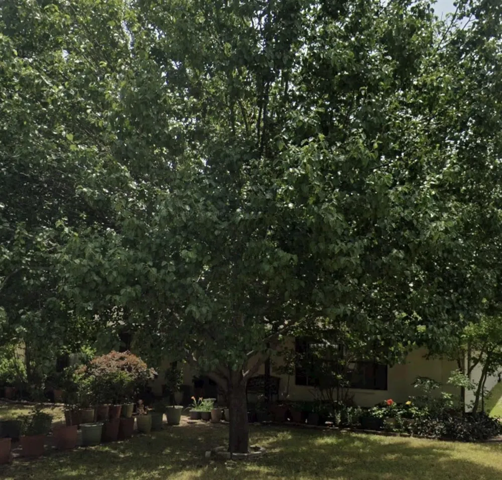 2512 Eastbrook Drive Mesquite, TX 75150