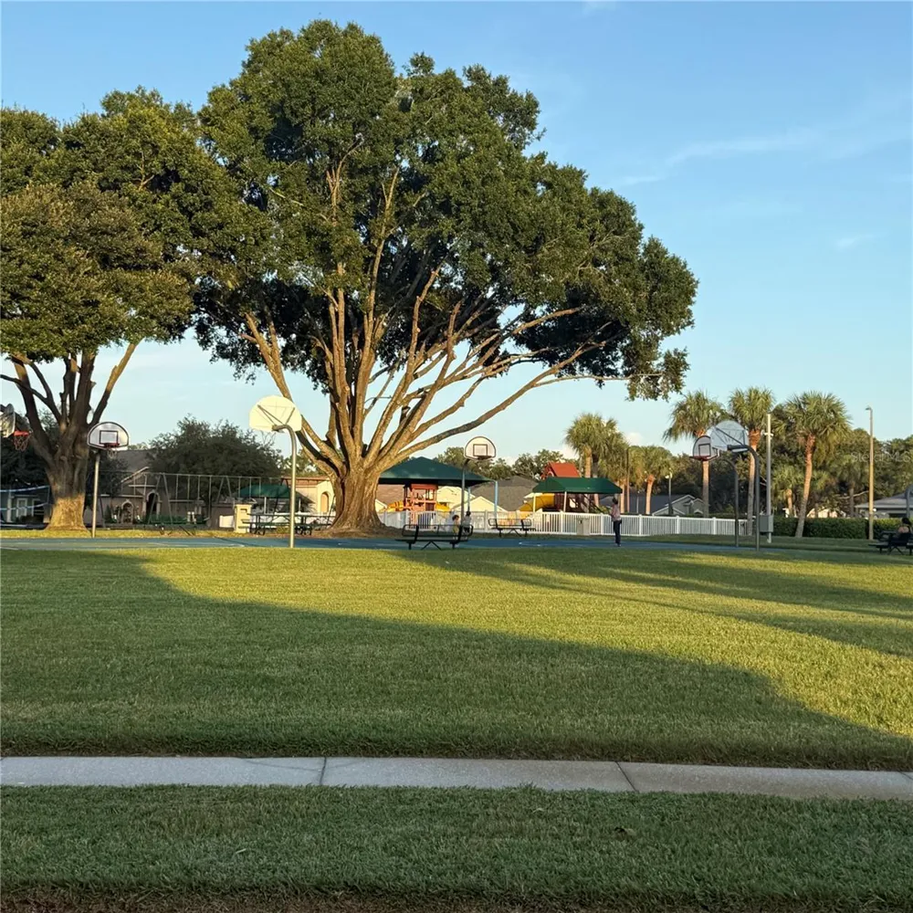 4978 TRINIDAD DRIVE Land O Lakes, FL 34639