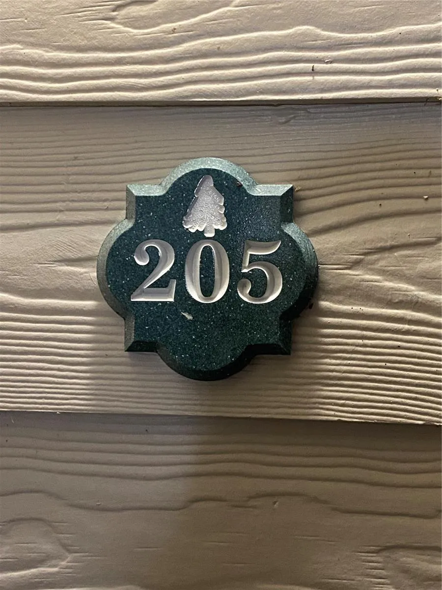 225 SOUTHERN PECAN CIRCLE #205 Winter Garden, FL 34787
