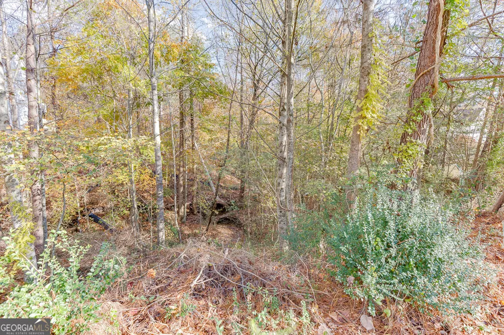 5137 Yellow Stone DR Flowery Branch, GA 30542