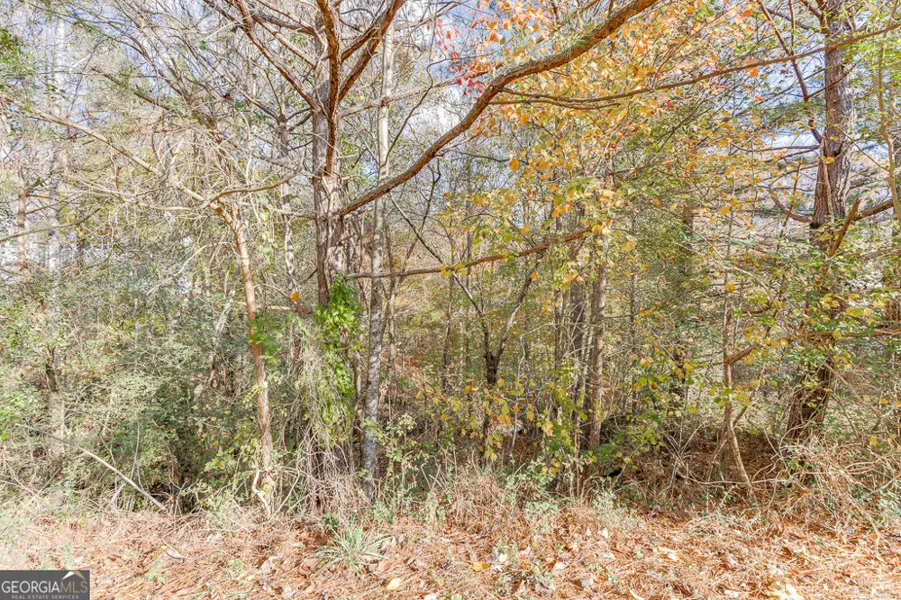 5137 Yellow Stone DR Flowery Branch, GA 30542