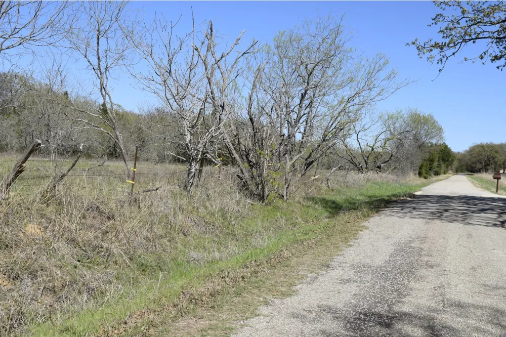 970 FCR Wortham, TX 76693