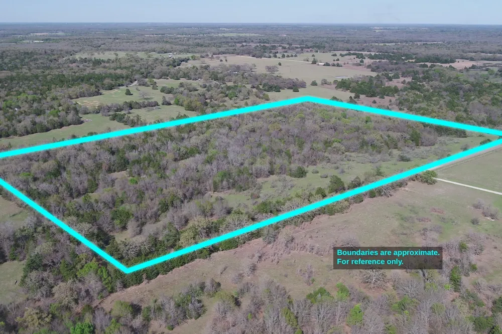 970 FCR Wortham, TX 76693