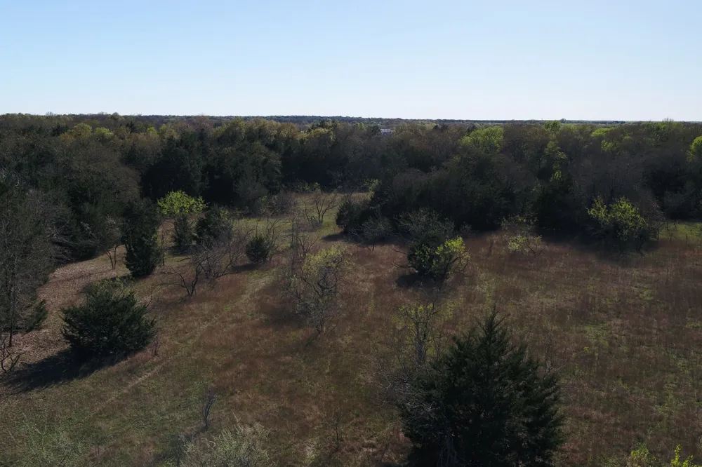 970 FCR Wortham, TX 76693