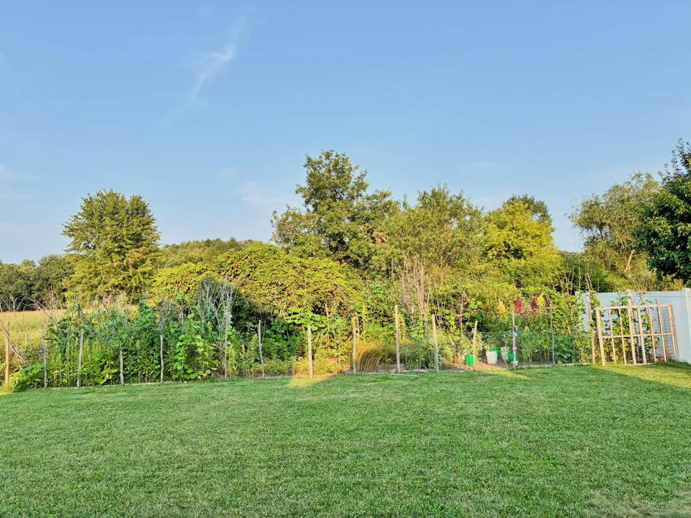1368 Yarrow Drive Holt, MI 48842