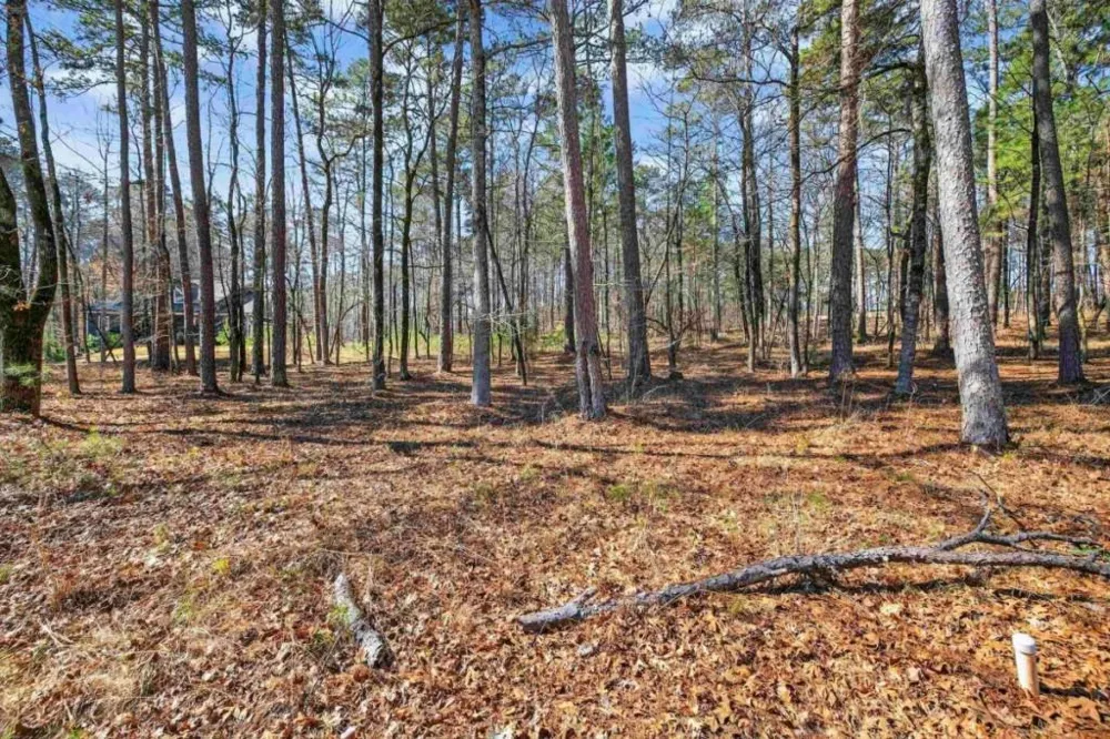 1841 Osprey Poynte Greensboro, GA 30642