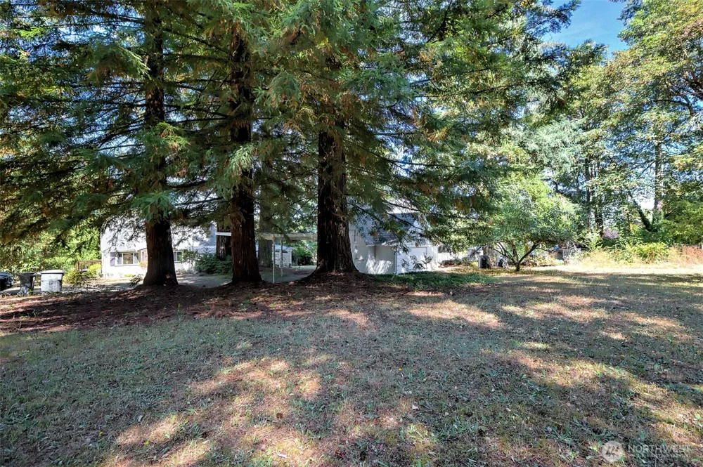 1306 Center Street Shelton, WA 98584