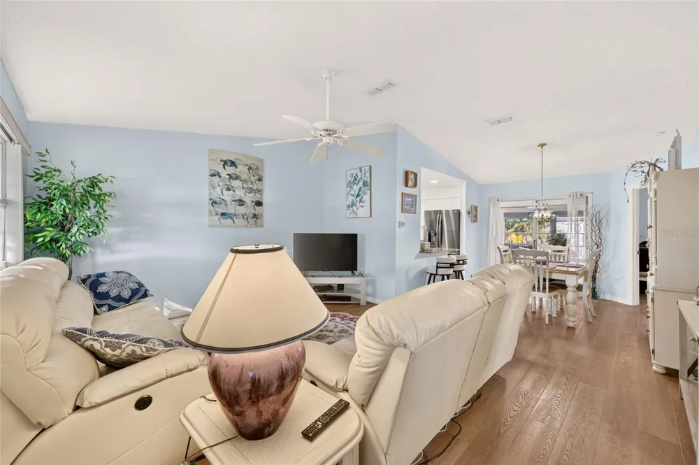 1613 SAN DIEGO STREET The Villages, FL 32159