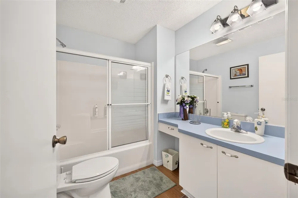 1613 SAN DIEGO STREET The Villages, FL 32159