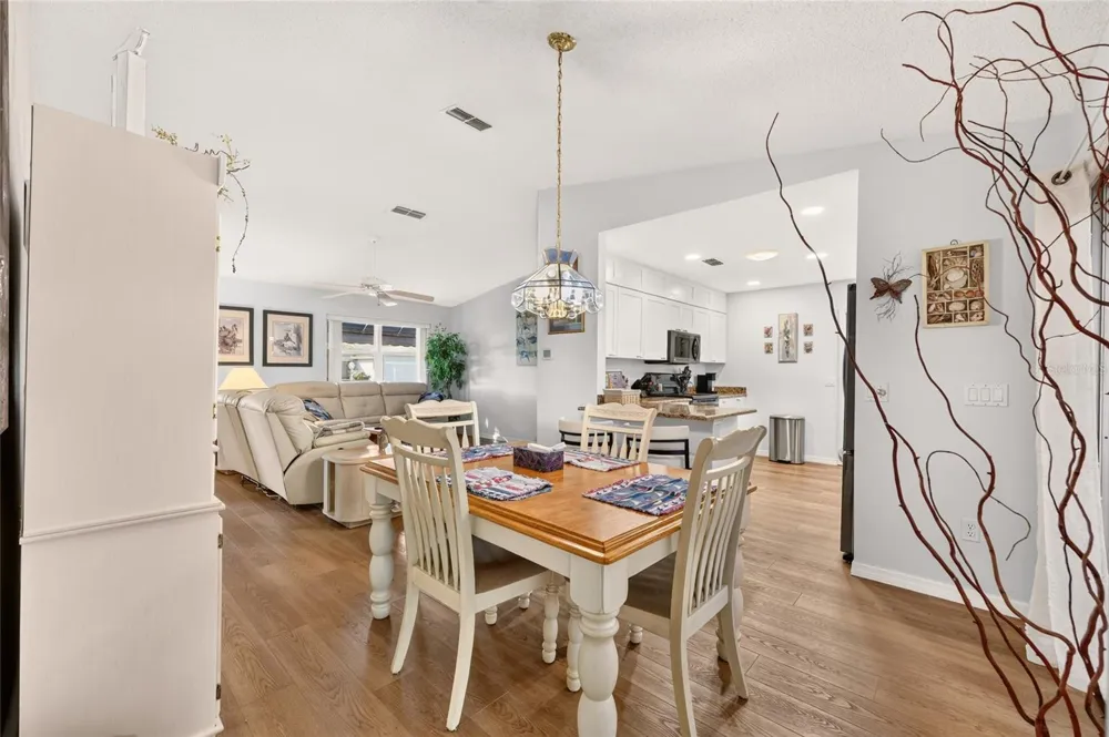 1613 SAN DIEGO STREET The Villages, FL 32159