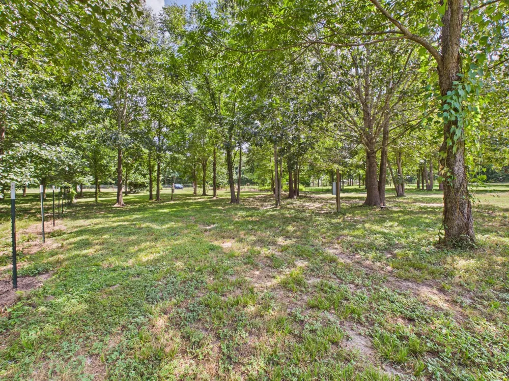 282 Route 66 Livingston, TX 77351